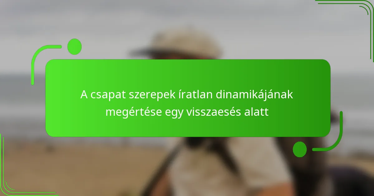 A csapat szerepek íratlan dinamikájának megértése egy visszaesés alatt